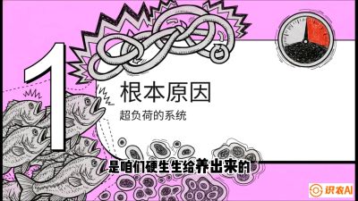 第三节：【爆款单品&middot;加州鲈】从&ldquo;玻璃鱼&rdquo;到&ldquo;摇钱树&rdquo;的通关秘籍，课程：《黄金鳞甲：2025中国淡水鱼高效养殖实战营》