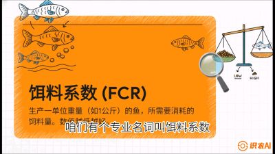 第五节：【高端单品&middot;鳜鱼】&ldquo;饲料鳜&rdquo;技术：打破吃活饵的高成本魔咒，课程：《黄金鳞甲：2025中国淡水鱼高效养殖实战营》