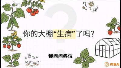 第2节（解毒篇）： 大棚里的&ldquo;红白绿&rdquo;警报&mdash;&mdash;读懂土壤盐渍化的求救信号，课程：《揭秘土壤的秘密：让土地帮你赚钱》#识农AI