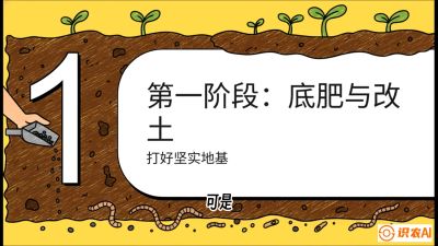 第6节（统筹篇）： 省钱又增产的&ldquo;黄金配比&rdquo;&mdash;&mdash;不同作物全年的养土实操方案，课程：《揭秘土壤的秘密：让土地帮你赚钱》#识农AI