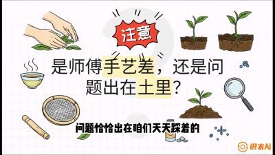 第02节（土肥篇）：告别&ldquo;苦涩水味&rdquo;：揭秘&ldquo;碳氮比&rdquo;调控术，种出自带兰花香的好茶底，课程：《茶金时代：从&ldquo;看天吃饭&rdquo;到&ldquo;精准控局&rdquo;的茶叶高产提质实战课》