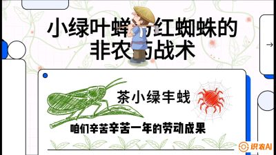 第03节（虫害篇）：看不见的吸血鬼：小绿叶蝉与红蜘蛛的&ldquo;非农药&rdquo;团灭战术（抗性治理），课程：《茶金时代：从&ldquo;看天吃饭&rdquo;到&ldquo;精准控局&rdquo;的茶叶高产提质实战课》