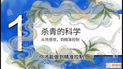 第05节（加工篇）：决胜2分钟：用&ldquo;数字温控&rdquo;破解杀青不匀，复刻大师级手工口感，课程：《茶金时代：从&ldquo;看天吃饭&rdquo;到&ldquo;精准控局&rdquo;的茶叶高产提质实战课》