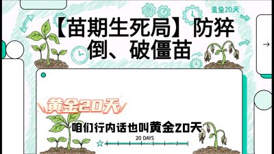 第2节：【苗期生死局】防猝倒、破僵苗，决定后期产量的&ldquo;黄金20天&rdquo;，课程：《辣椒种植实战特训营，从工业辣椒到精品小米辣，教你如何把&ldquo;草&rdquo;种成&ldquo;金&rdquo;》