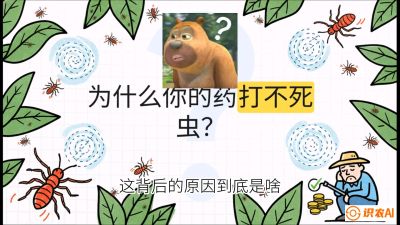 第4节：【虫害歼灭战】打不死的蓟马、隐形的茶黄螨：抗性时代的&ldquo;混配绝杀&rdquo;，课程：《辣椒种植实战特训营，从工业辣椒到精品小米辣，教你如何把&ldquo;草&rdquo;种成&ldquo;金&rdquo;》