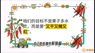 第7节：【工业辣椒专场】追求极致辣度！干物质提升与机械化采收的&ldquo;催红秘籍&rdquo;，课程：《辣椒种植实战特训营，从工业辣椒到精品小米辣，教你如何把&ldquo;草&rdquo;种成&ldquo;金&rdquo;》
