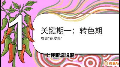 第8节：【小米辣线椒专场】颜值即正义！防花皮、防炭疽，打造收购商抢着要的&ldquo;精品果&rdquo;，课程：《辣椒种植实战特训营，从工业辣椒到精品小米辣，教你如何把&ldquo;草&rdquo;种成&ldquo;金&rdquo;》