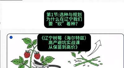 第一节： 选种与规划&mdash;&mdash;为什么在辽宁我们要&ldquo;砍&rdquo;着种？，课程：《辽宁树莓（海尔特兹）高产避坑实战课：从保苗到高价》