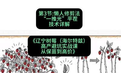 第三节： 懒人修剪法&mdash;&mdash;&ldquo;一推光&rdquo;平茬技术详解，课程：《辽宁树莓（海尔特兹）高产避坑实战课：从保苗到高价》