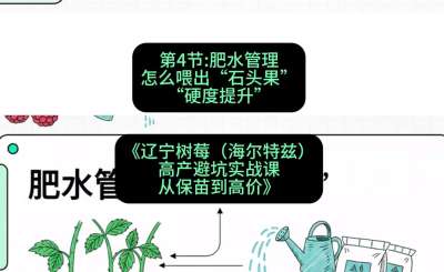 第四节： 肥水管理&mdash;&mdash;怎么喂出&ldquo;石头果&rdquo;（硬度提升），课程：《辽宁树莓（海尔特兹）高产避坑实战课：从保苗到高价》