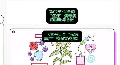第02节：百合的&ldquo;癌症&rdquo;&mdash;&mdash;病毒病的阻断与急救，课程：《卷丹百合&ldquo;无病高产&rdquo;植保实战课》#识农AI