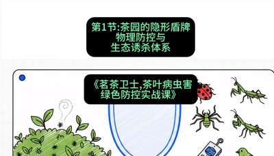 第01节：茶园的&ldquo;隐形盾牌&rdquo;&mdash;&mdash;物理防控与生态诱杀体系，课程：《茗茶卫士&mdash;&mdash;茶叶病虫害绿色防控实战课》#识农AI