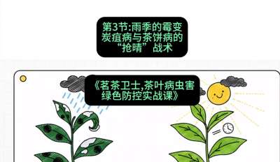 第03节：雨季的霉变&mdash;&mdash;炭疽病与茶饼病的&ldquo;抢晴&rdquo;战术，课程：《茗茶卫士&mdash;&mdash;茶叶病虫害绿色防控实战课》#识农AI