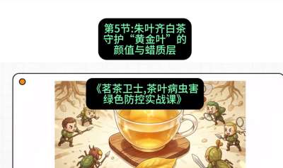 第05节：朱叶齐白茶&mdash;&mdash;守护&ldquo;黄金叶&rdquo;的颜值与蜡质层（重点），课程：《茗茶卫士&mdash;&mdash;茶叶病虫害绿色防控实战课》#识农AI