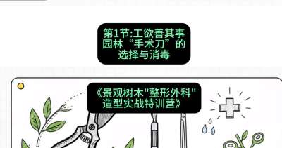第01节：工欲善其事&mdash;&mdash;园林&ldquo;手术刀&rdquo;的选择与消毒，课程：《景观树木&ldquo;整形外科&rdquo;造型实战特训营》#识农AI