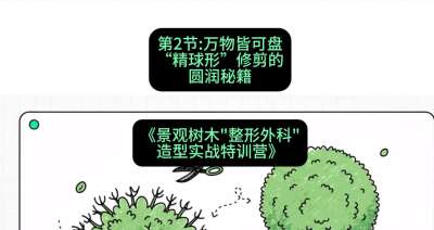 第02节：万物皆可盘&mdash;&mdash;&ldquo;精球形&rdquo;修剪的圆润秘籍，课程：《景观树木&ldquo;整形外科&rdquo;造型实战特训营》#识农AI
