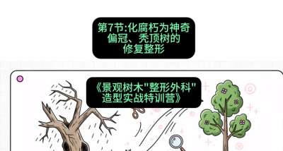 第07节：化腐朽为神奇&mdash;&mdash;偏冠、秃顶树的修复整形，课程：《景观树木&ldquo;整形外科&rdquo;造型实战特训营》#识农AI