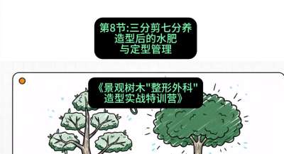 第08节：三分剪七分养&mdash;&mdash;造型后的水肥与定型管理，课程：《景观树木&ldquo;整形外科&rdquo;造型实战特训营》#识农AI