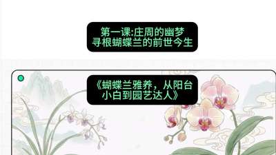 第一节：庄周的幽梦：寻根蝴蝶兰的前世今生，课程：《蝴蝶兰雅养六讲：从阳台小白到园艺达人》#识农AI