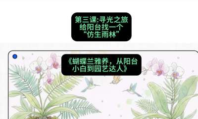 第三节：寻光之旅：给阳台找一个&ldquo;仿生雨林&rdquo;，课程：《蝴蝶兰雅养六讲：从阳台小白到园艺达人》#识农AI
