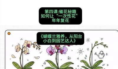 第四节：催花秘籍：如何让&ldquo;一次性花&rdquo;年年复花，课程：《蝴蝶兰雅养六讲：从阳台小白到园艺达人》#识农AI