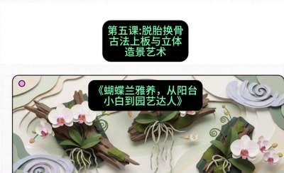 第五节：脱胎换骨：古法上板与立体造景艺术，课程：《蝴蝶兰雅养六讲：从阳台小白到园艺达人》#识农AI