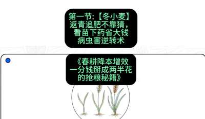 第一节：【冬小麦】返青追肥不靠猜，看苗下药省大钱
