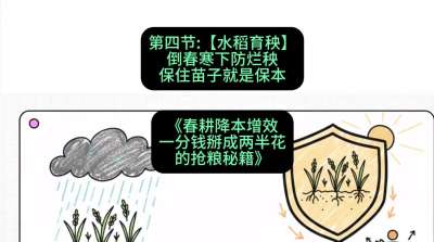 第四节：【水稻育秧】倒春寒下防烂秧，保住苗子就是保本