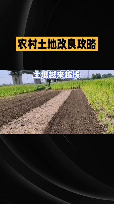 1. 先搞懂：你到底要改良哪块地、种什么
 
- 土土土在哪里？
就是你自家农田、菜地、果园，哪块地想种庄稼，就测哪块地的土。
​
- 有水没有水？
有水能浇：改良更省事，施肥、调酸碱都好操作。
没水