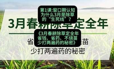 第1节：窗口期认知，为什么3月是除草的&ldquo;生死线&rdquo;？，课程：《3月春耕除草定全年：省钱、省药、不烧苗、少打两遍药的秘密》