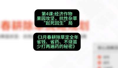 第4节：经济作物果园攻坚，抗性杂草&ldquo;起死回生&rdquo;局，课程：《3月春耕除草定全年：省钱、省药、不烧苗、少打两遍药的秘密》